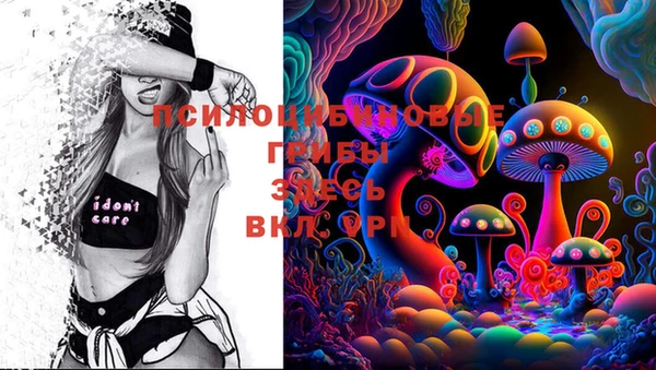 COCAINE Няндома